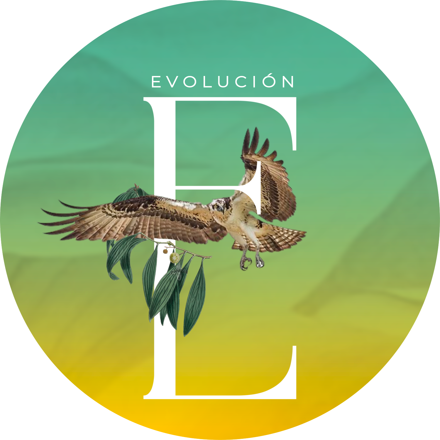 MENTE: Saúde Quântica