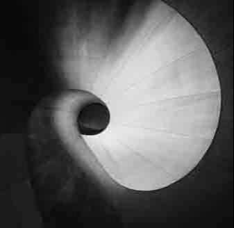 Black-November image