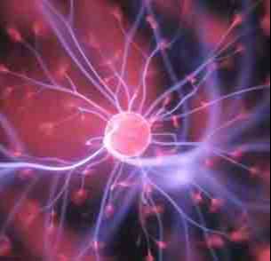 Black-November image