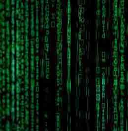 Black-November image