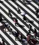 Black-November image