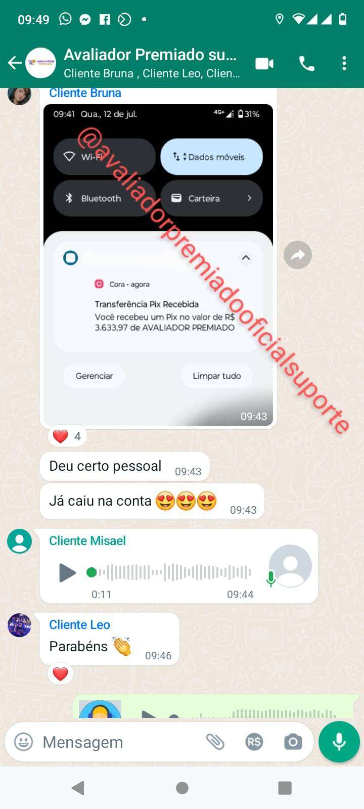 Foto de Ariane Silva Sorrindo