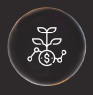 VIDA: Prosperidade e Produtividade