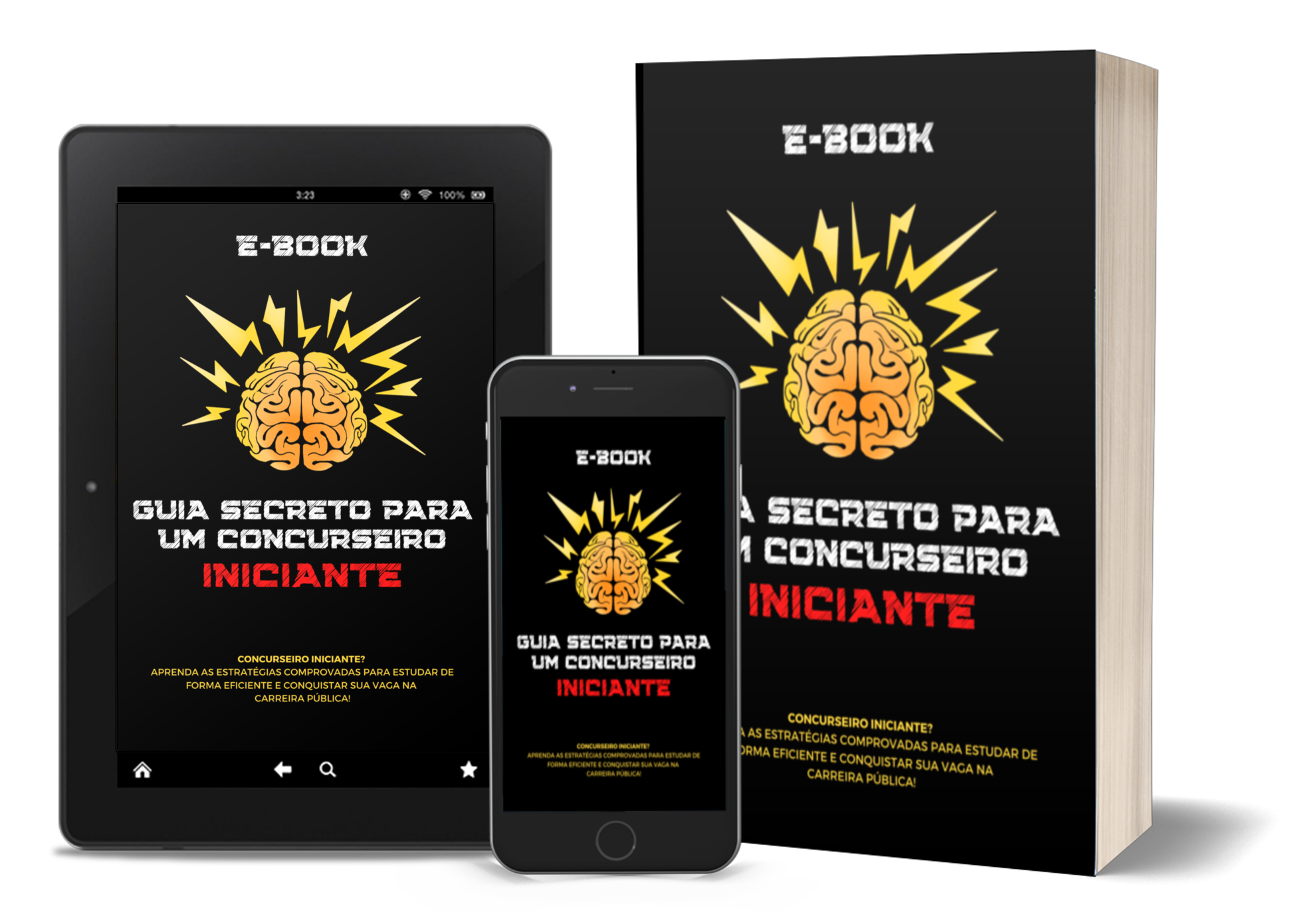 GUIA SECRETO PARA UM CONCURSEIRO INICIANTE