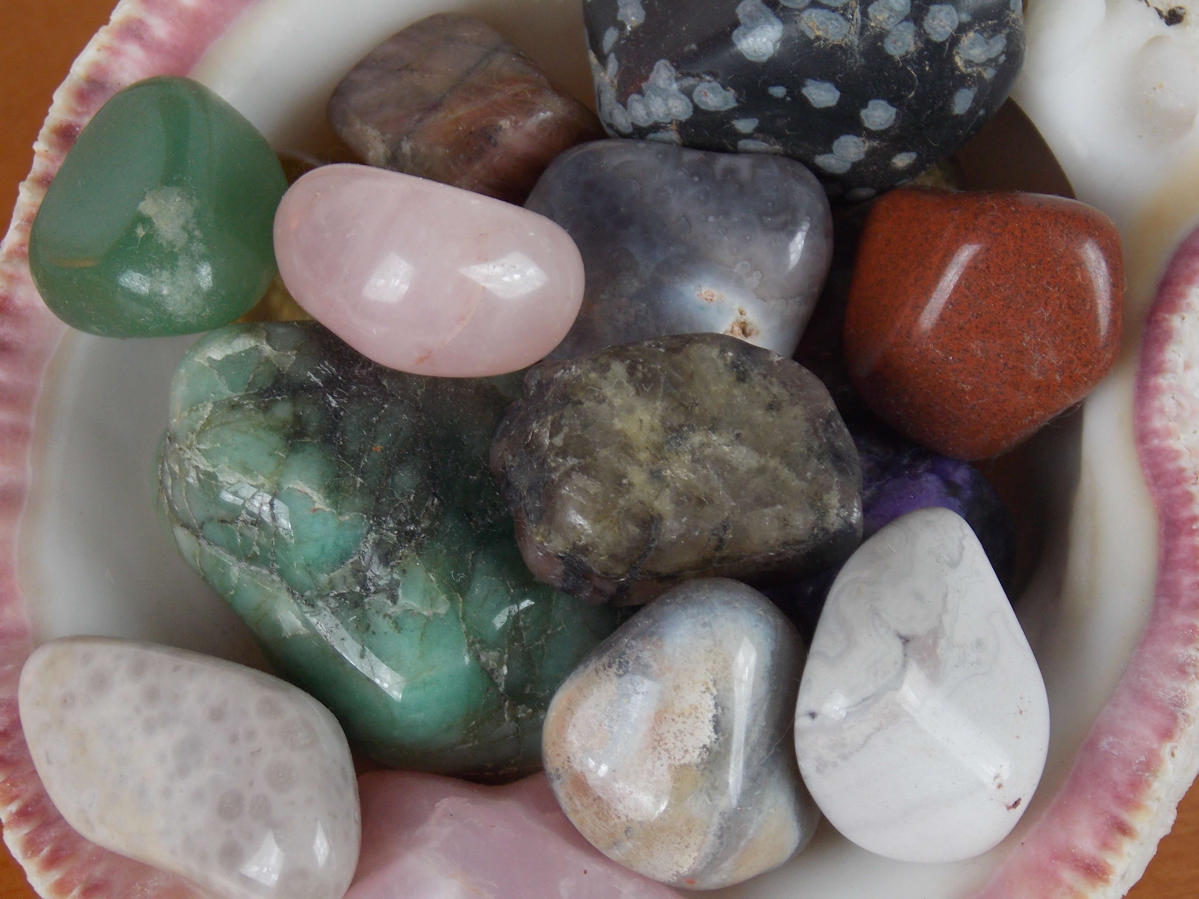 Sed sodales eget diam id mattis duis felis