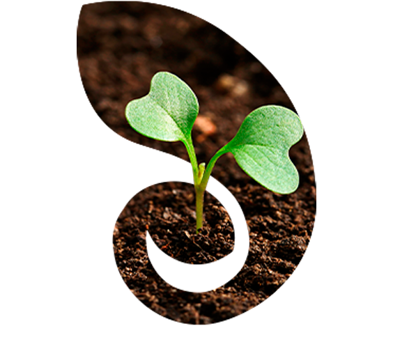 Especialização Bioinsumos e Proteção de Plantas