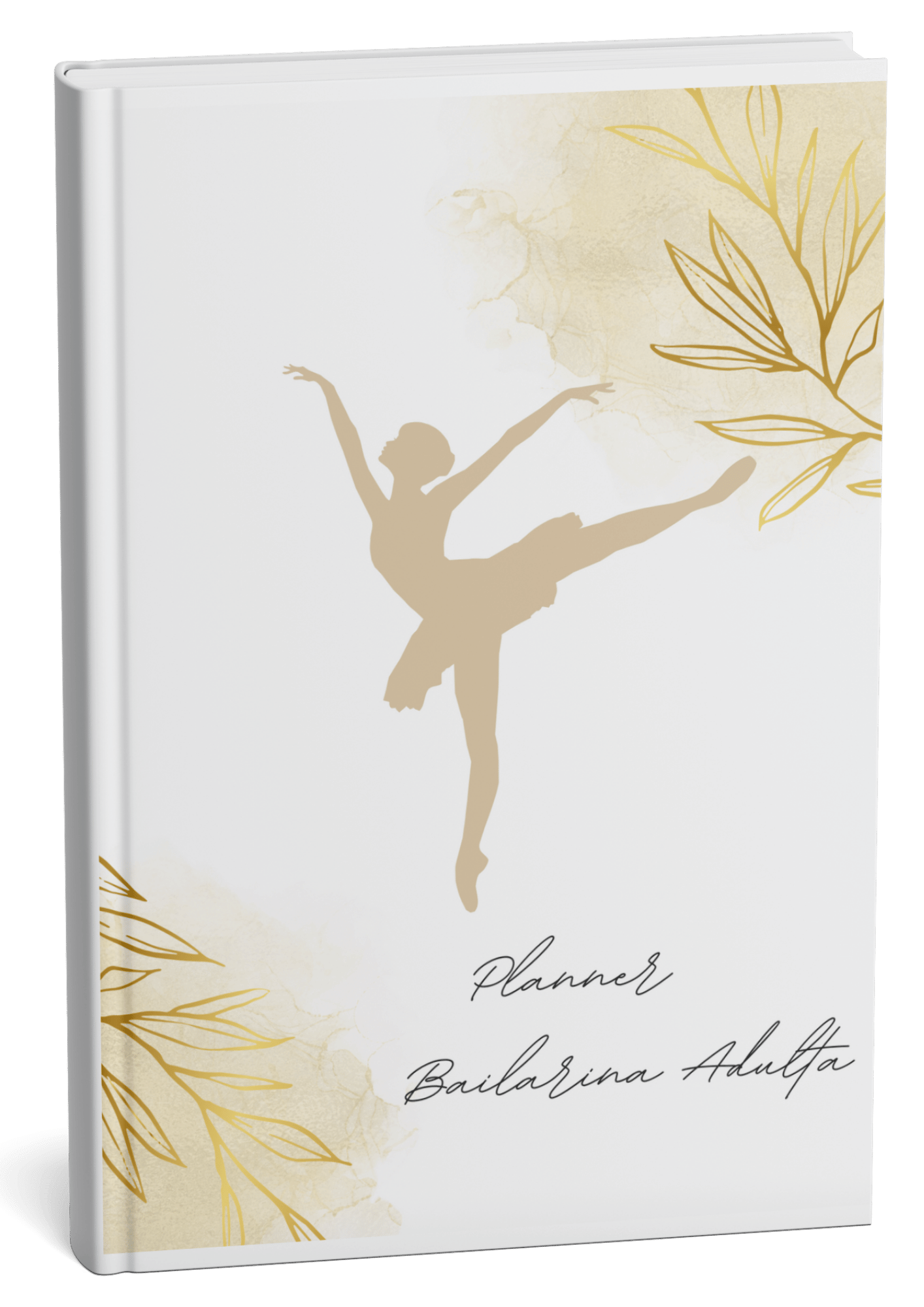 Mapa do seu plano de Lançamento