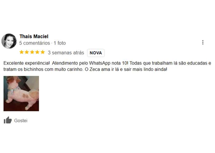 Imagem 01