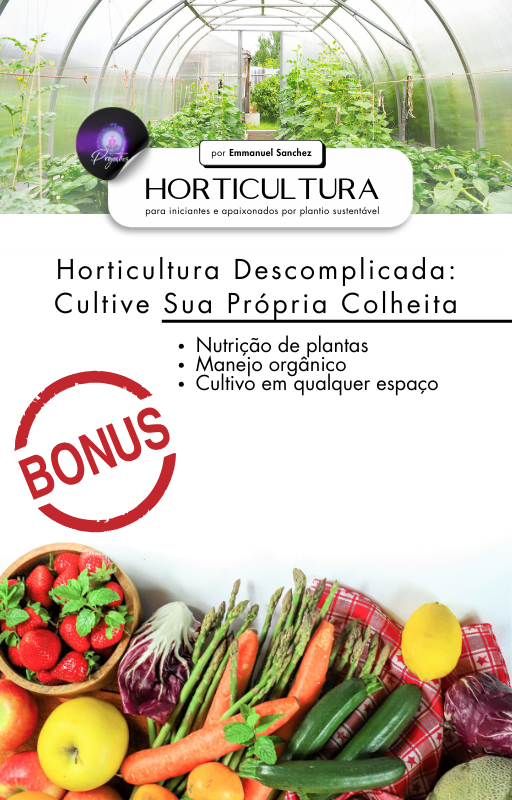 Curso Online Tratamento de Imagens