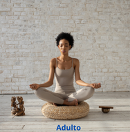 VIDA: Prosperidade e Produtividade