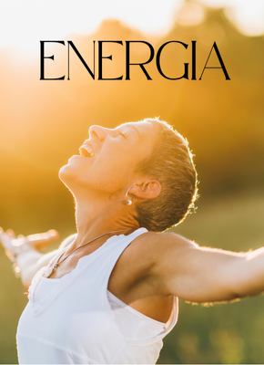 Mapa do seu plano de Lançamento