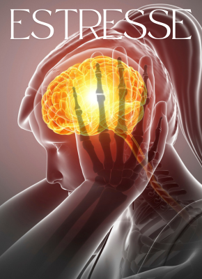 Mapa do seu plano de Lançamento