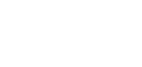 Academia