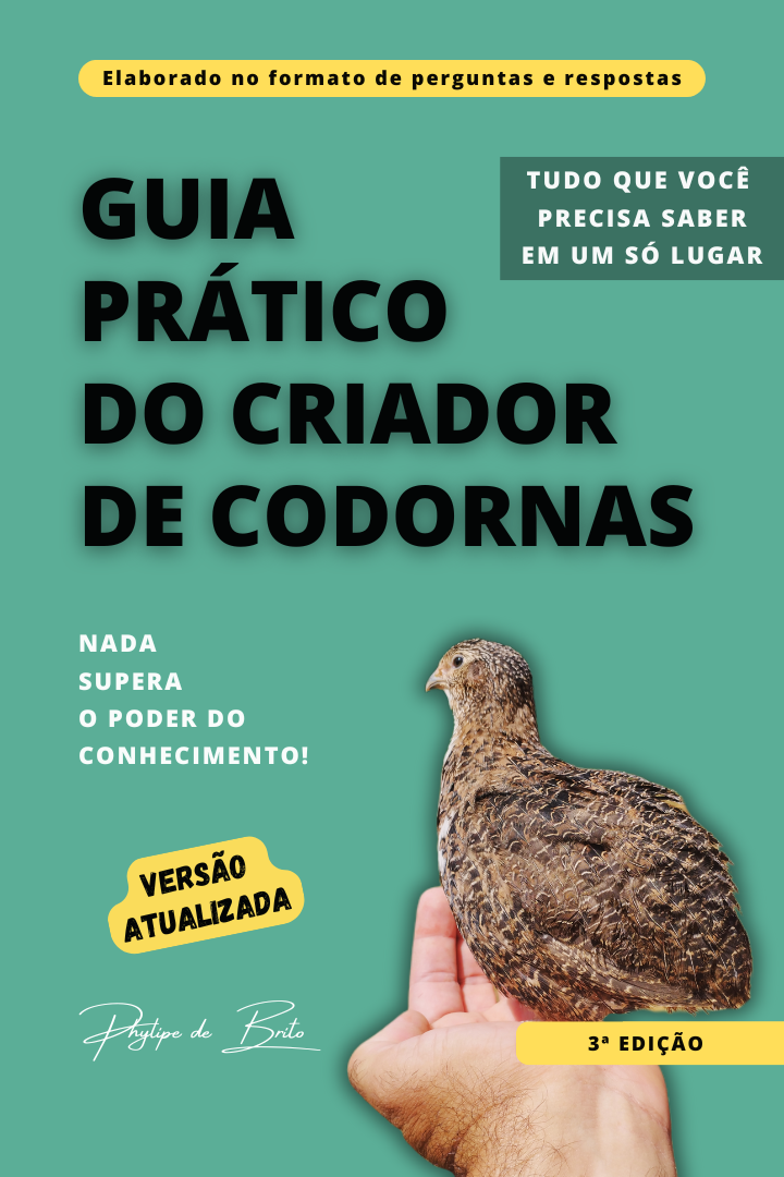 Mapa do seu plano de Lançamento