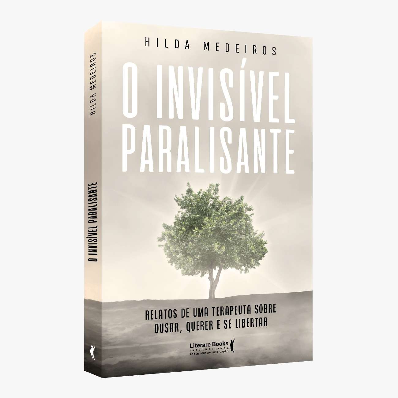 Mapa do seu plano de Lançamento