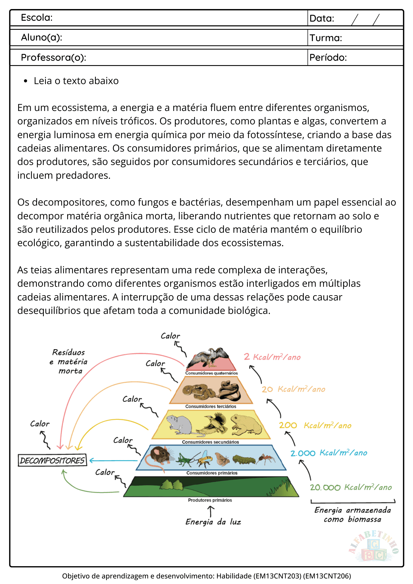 Imagem 01
