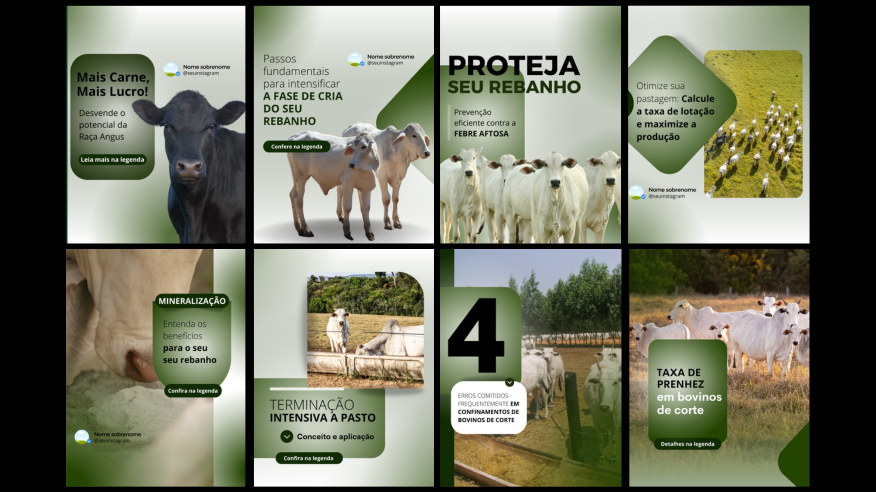 Imagem 02