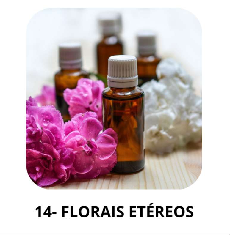 Curso Online Tratamento de Imagens