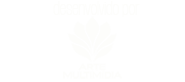 Arte Multimídia